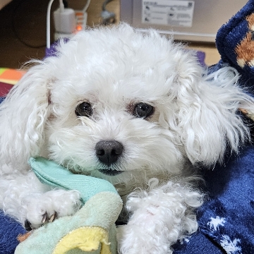 사용자 이미지