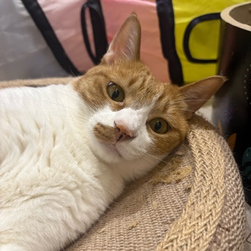 사용자 이미지