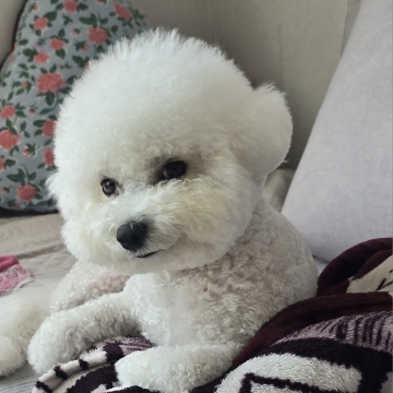 휴림설비  고수 프로필