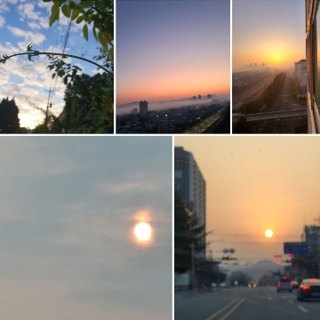 사용자 이미지