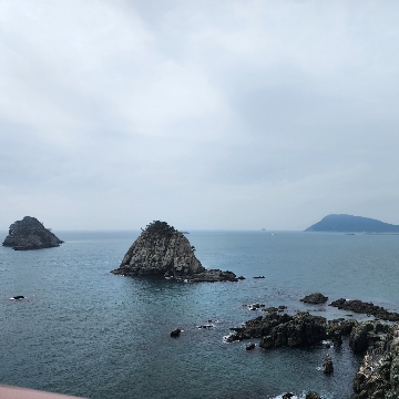 사용자 이미지