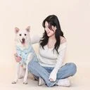 반려동물 전문 케어 펫시터 소이쌤