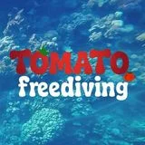 토마토프리다이빙 삡비강사