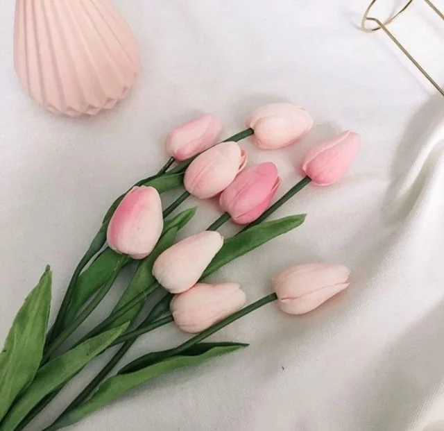 [중고 가전/가구 매각 문의] 리스트 견적 요청 - 숨고, 숨은고수 [중고 가전/가구 매각 문의] 리스트 견적 요청
