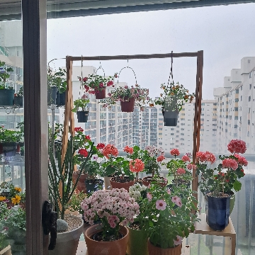 사용자 이미지