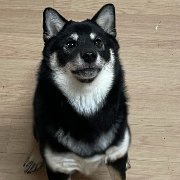 사용자 이미지