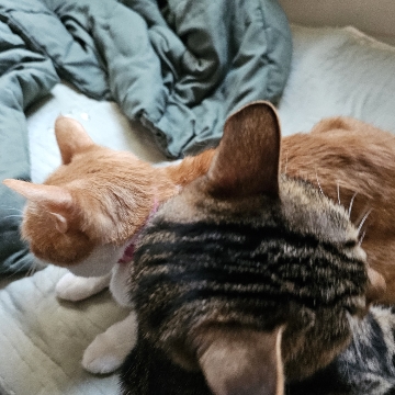 사용자 이미지