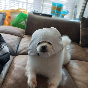 사용자 이미지