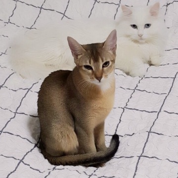 사용자 이미지