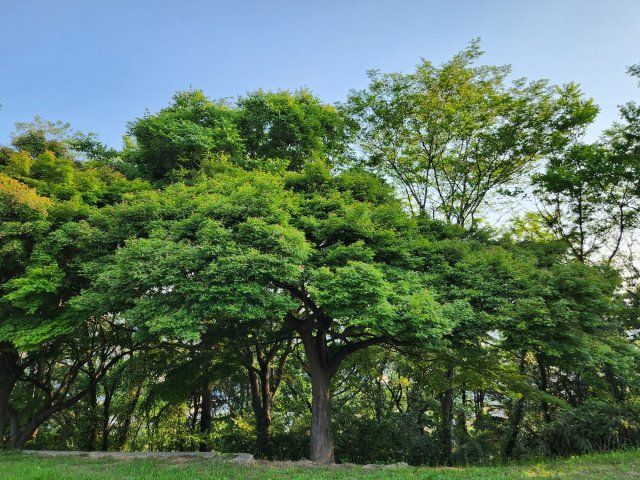 사용자 이미지