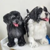 엠엠니들스튜디오