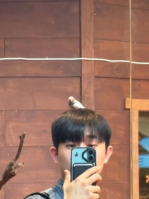 사용자 이미지