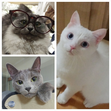 사용자 이미지