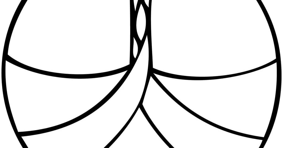 다몽 고수의 웹 개발 서비스, 경기 화성시 - 숨고, 숨은고수 다몽 고수의 웹 개발 서비스, 경기 화성시
