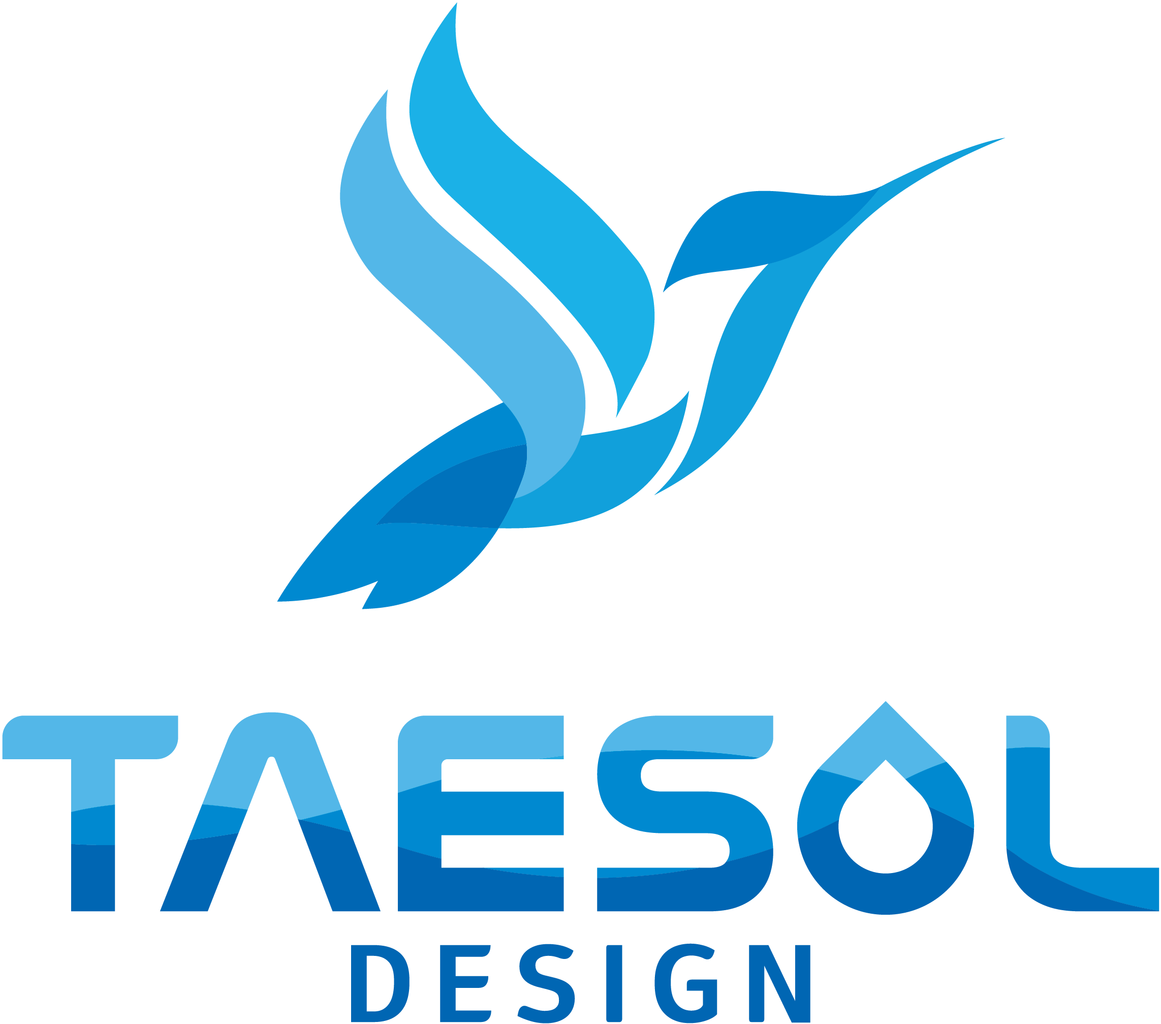 주식회사 태솔디자인 고수 프로필