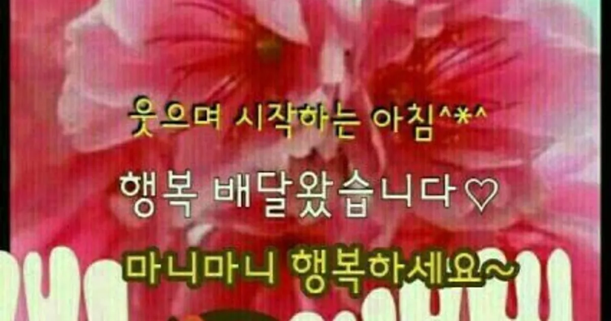미성 종합장식 고수의 도배장판 시공 서비스, 강원특별자치도 춘천시 - 숨고, 숨은고수 미성 종합장식 고수의 도배장판 시공 서비스... 