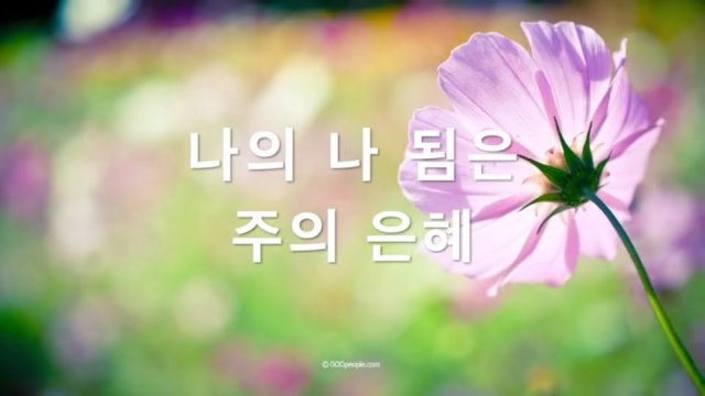 사용자 이미지