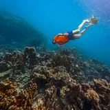 박민수 위드웨일즈