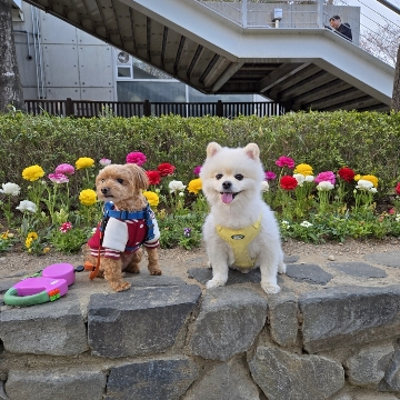 사용자 이미지