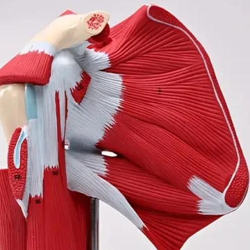 사용자 이미지