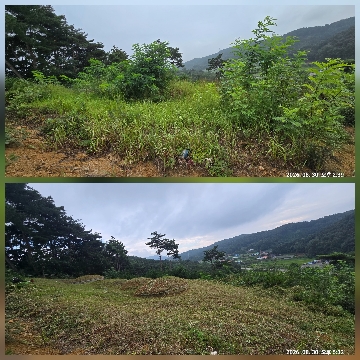 사용자 이미지