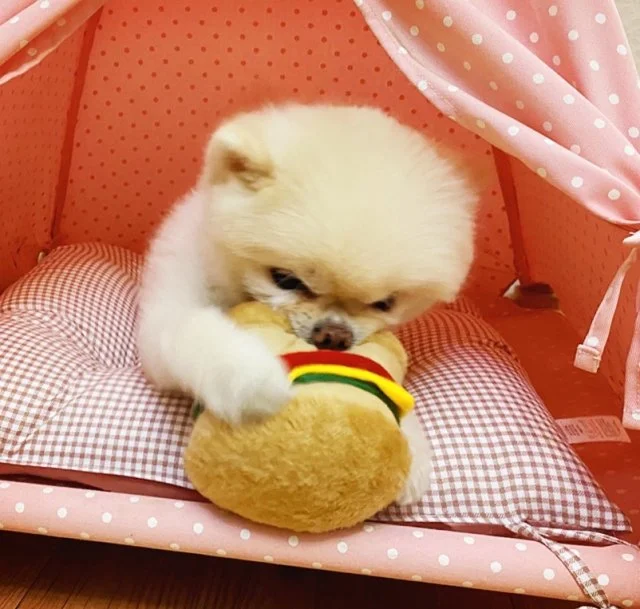 사용자 이미지