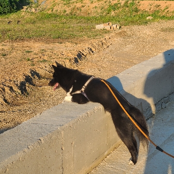 사용자 이미지