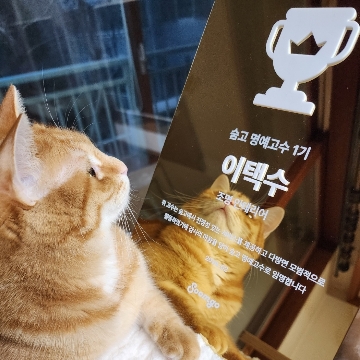 사용자 이미지