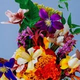 에이치더블유에이치 포토그래퍼