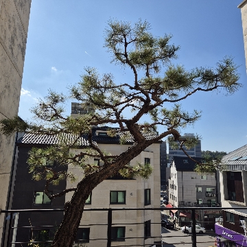 사용자 이미지