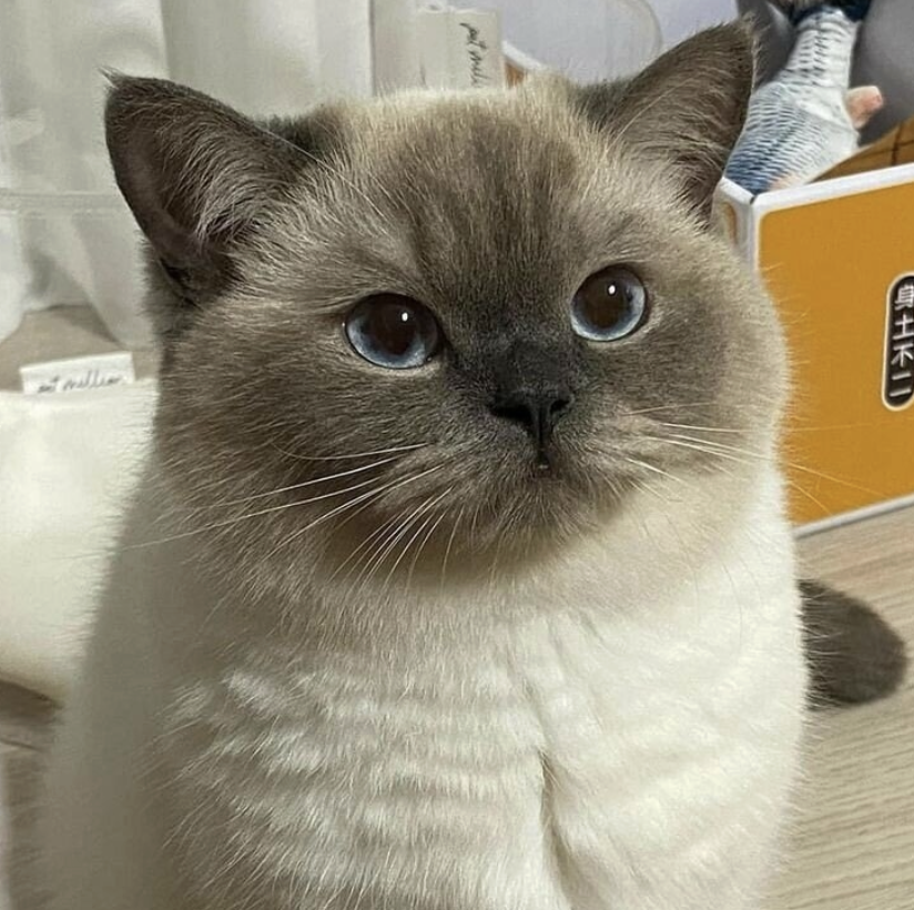 사용자 이미지