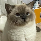 카카오 계열사 채용담당자의 컨설팅