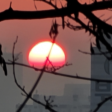 사용자 이미지