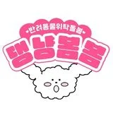 댕냥봄봄