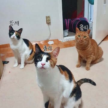 사용자 이미지