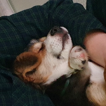 사용자 이미지