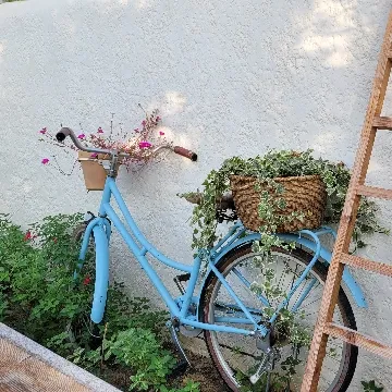 사용자 이미지