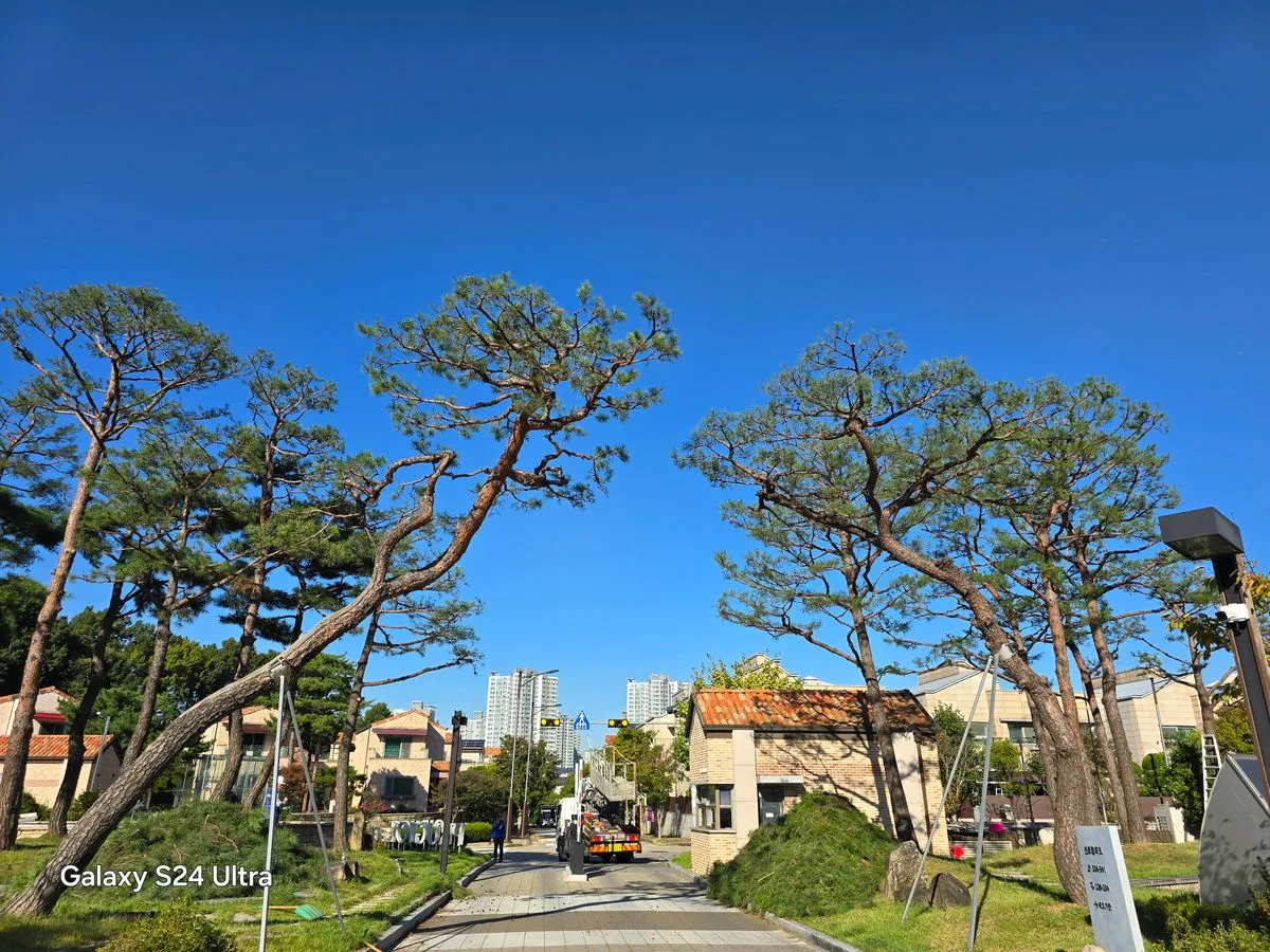 매일 사용하는 수돗물 어떻게 관리하세요? - 숨고, 숨은고수 매일 사용하는 수돗물 어떻게 관리하세요?