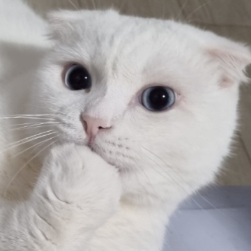 사용자 이미지