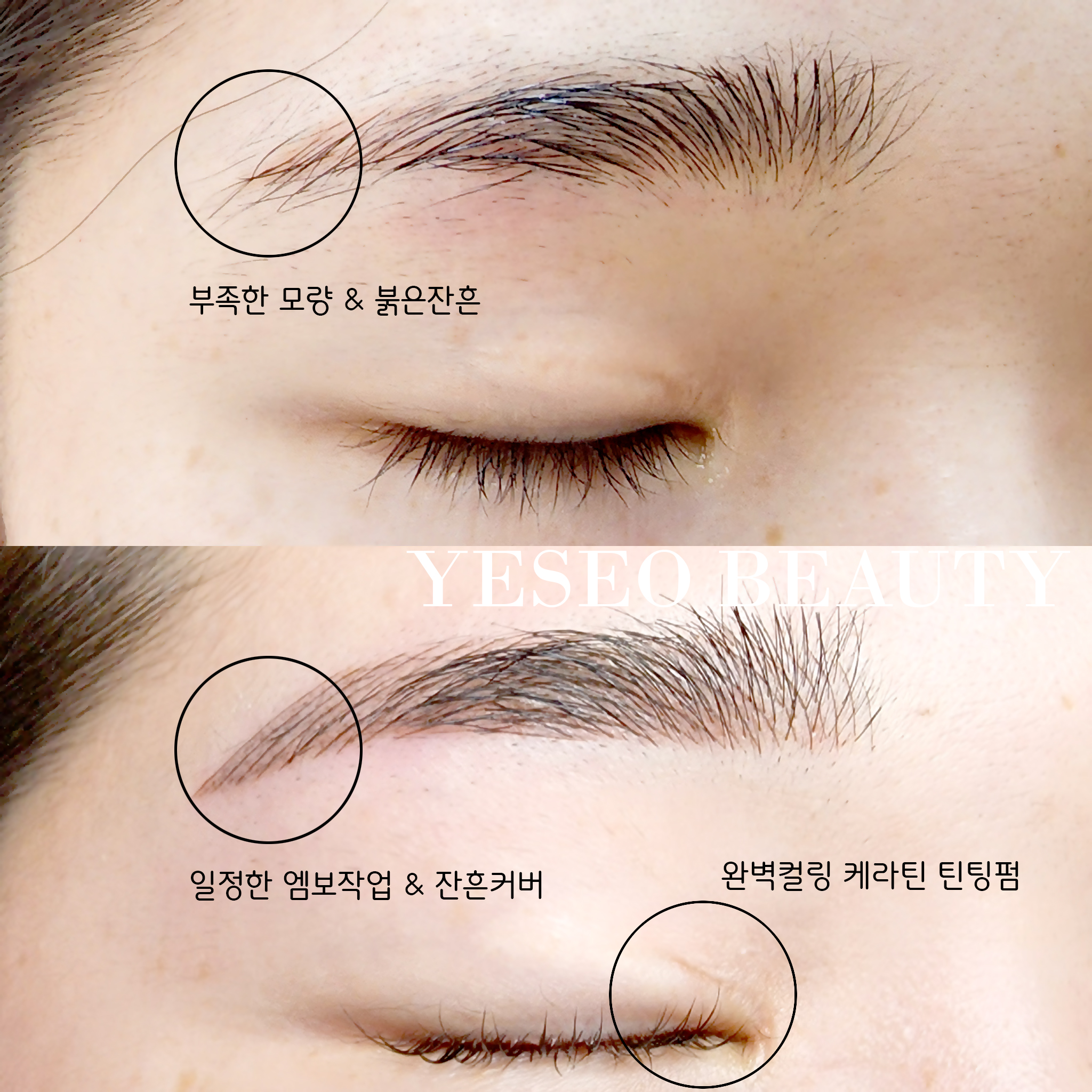 신예서 고수 프로필