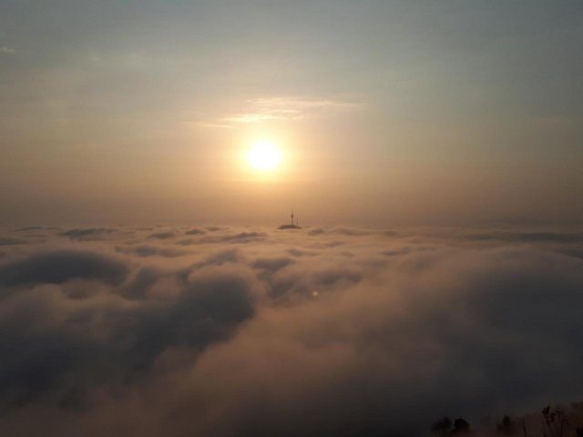 사용자 이미지
