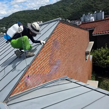 사용자 이미지