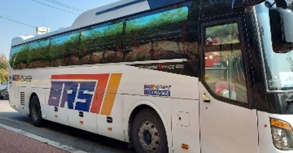 대진고속관광 고수의 버스 대절 서비스, 서울 영등포구 - 숨고, 숨은고수 대진고속관광 고수의 버스 대절 서비스, 서울 영등포구