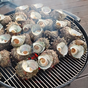 사용자 이미지