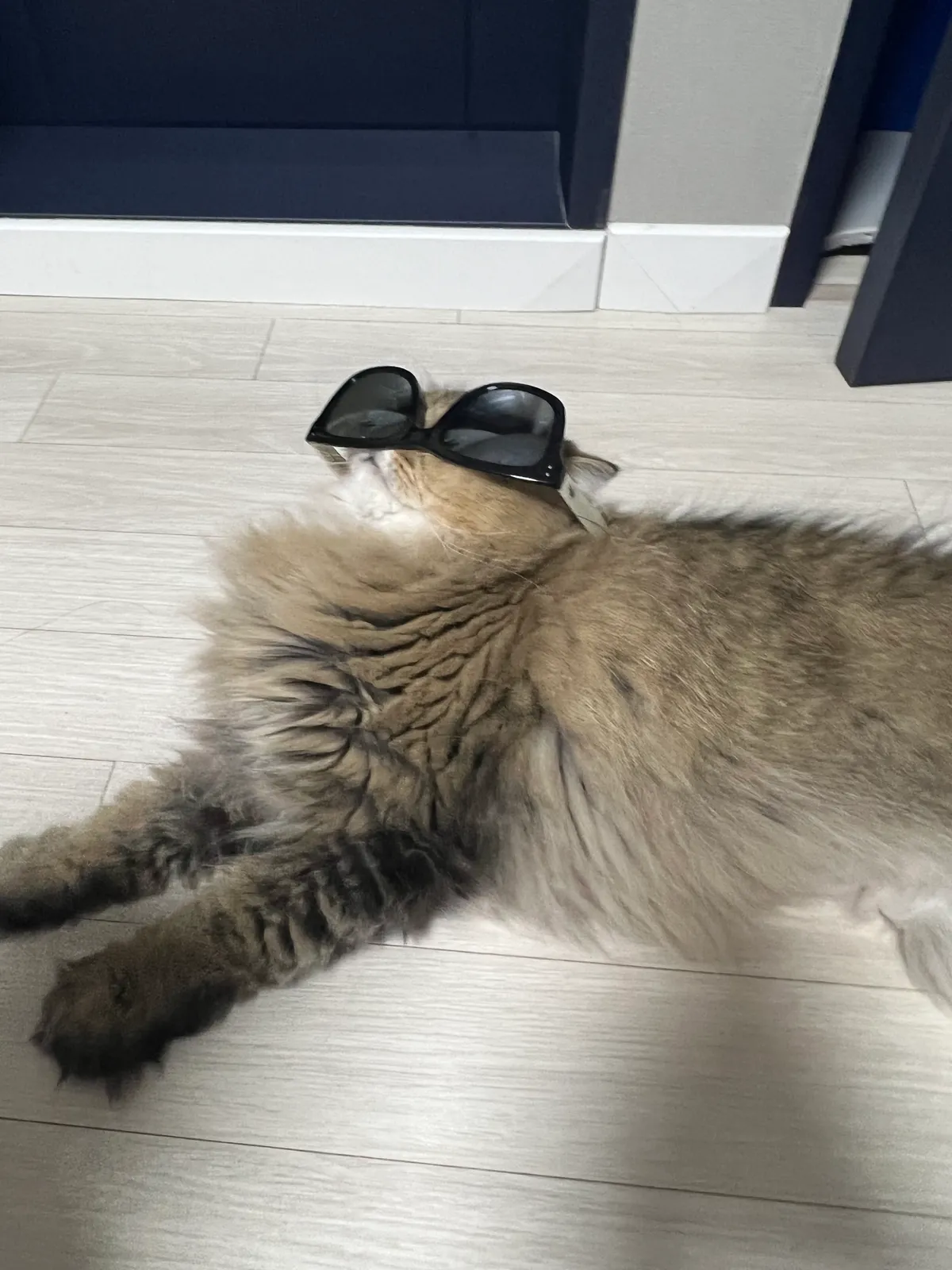 사용자 이미지