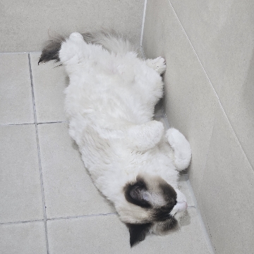 사용자 이미지