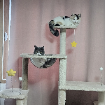 사용자 이미지