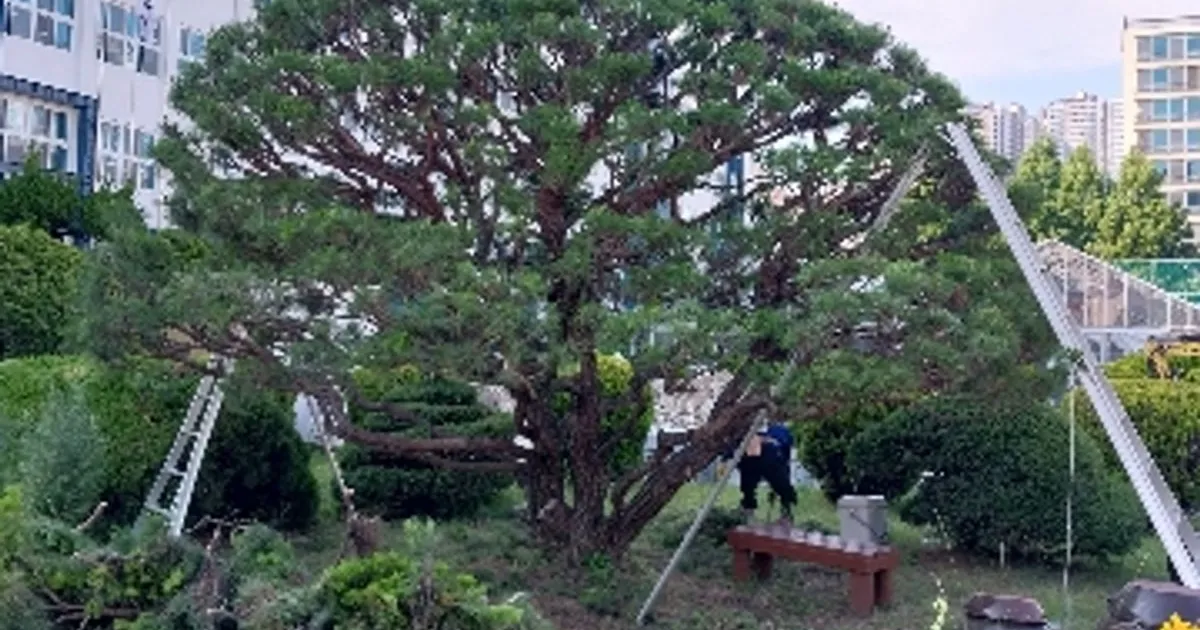 수목조경 고수의 조경 공사 서비스, 경기도 오산시 - 숨고, 숨은고수 수목조경 고수의 조경 공사 서비스, 경기도 오산시