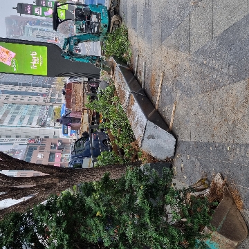 사용자 이미지