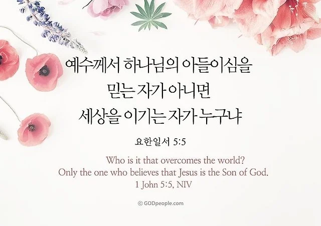 사용자 이미지